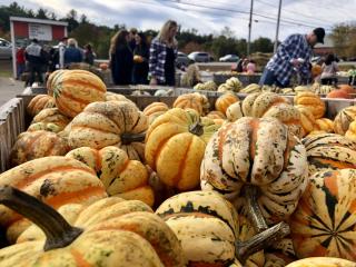 A close-up photo of heirloom pumpkins in a wood crate with people in the background