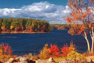 A photo of Lake Massabesic from the shores of Auburn on a sunny day with fall foliage in the foreground and background. 