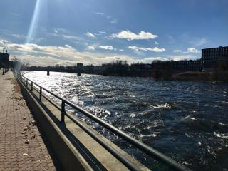 A photo looking south on the Merrimack River from Arms Park in Manchester on a clear and sunny day.